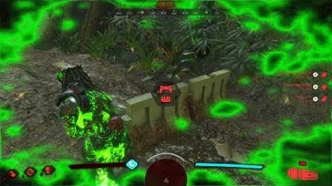 Predator: Hunting Grounds bug