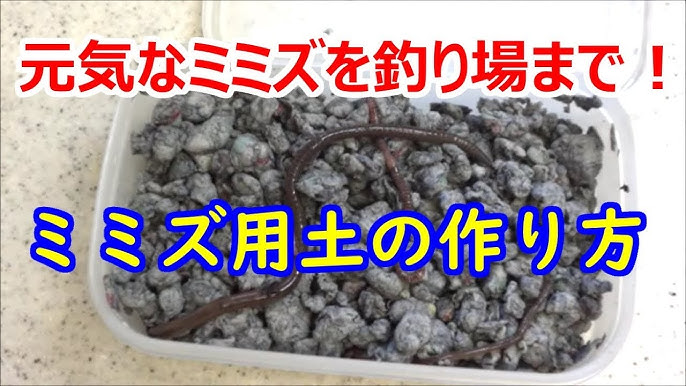 自宅でミミズ養殖 釣り用ミミズを殖やす方法 ミミズの飼育 釣り餌費用節約 ツリアメ Youtube 自宅でミミズ養殖 釣り用ミミズを殖やす方法 ミミズの飼育 釣り餌費用節約 ツリアメ Youtube