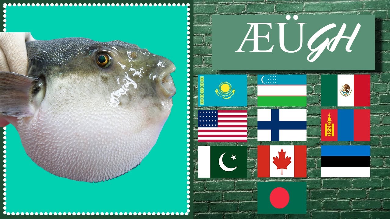 ÆÜGH in different languages meme - YouTube