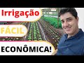 Como Fazer Um Sistema de IRRIGAÇÃO Simples e Barato