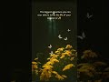 Just like these flowers reaching for the light, keep growing #morningmotivation #naturevibes