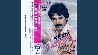 Ferdi Tayfur - Tanrım Nasıl Sevdim (Türküola Kaset) (Kaliteli Kayıt) Resimi