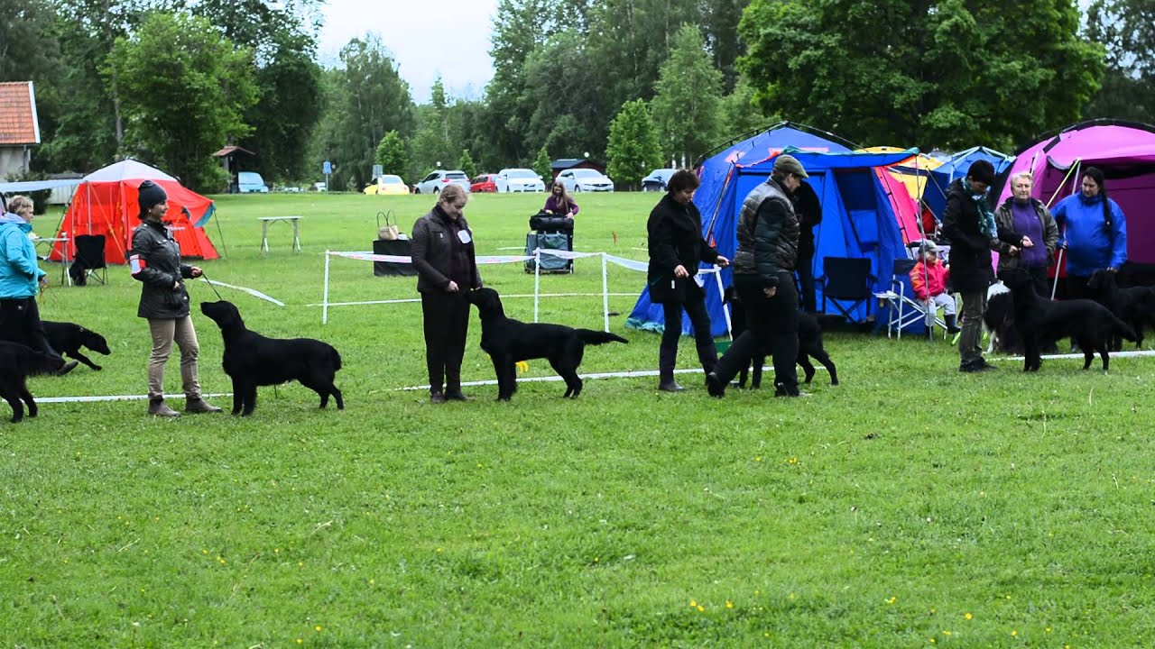 2015-06-14 Leijas första utställning