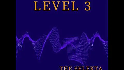 The Selekta - Level 3 Amapiano Mix