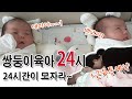 쌍둥이출산 쌍둥이육아브이로그 골병예약 육아24시 [봄플리]