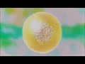 The Laws Of The Sun Esoteric Movie The Laws Of The Sun Esoteric Movie