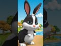 Hop Little Bunnies Hop Hop Hop | Nursery Rhymes &amp; Kids Songs |ZOOM Tv #childrensongs #toddlersongs