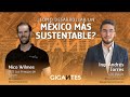 #60 ¿Cómo desarrollar un México más sustentable? Nico Wilmes CEO de Los Amigos de Tulum
