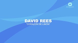 David Rees - Corazón de limón (Karaoke En Casa)