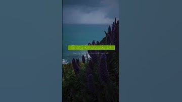 أَرَأَيتَ إِن كَذَّبَ وَتَوَلّى سورة العلق الشيخ محمد صديق المنشاوي رواية خلف عن حمزة