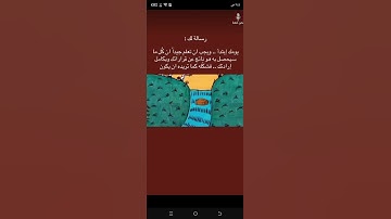 قرآن 💞 القارئ هزاع البلوشي 🌺