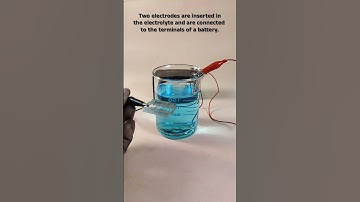 Copper Electro-Plating #science #shortvideos