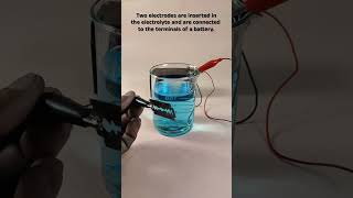 Copper Electro-Plating #science #shortvideos