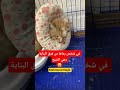 تذكروا ان الله لديه حساب يوم القيامة والظالم يظلم الله ينتقم منهم يارب قولو امين عينها راحت تذكروا ان الله لديه حساب يوم القيامة والظالم يظلم الله ينتقم منهم يارب قولو امين عينها راحت