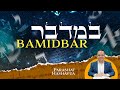 33. Parashat BAMIDBAR 5783 - Triple ENCARNACIÓN DEL ALMA.