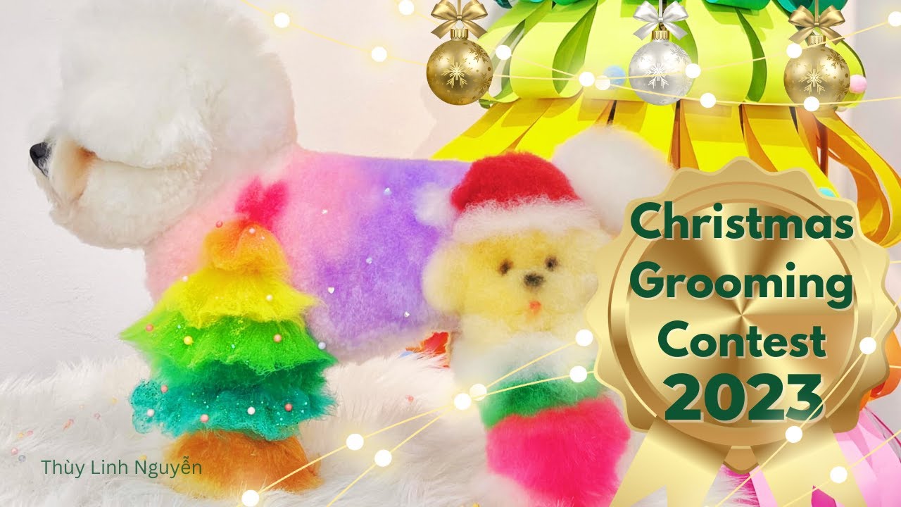Christmas Dog Grooming Contest 2023 – OPAWZ