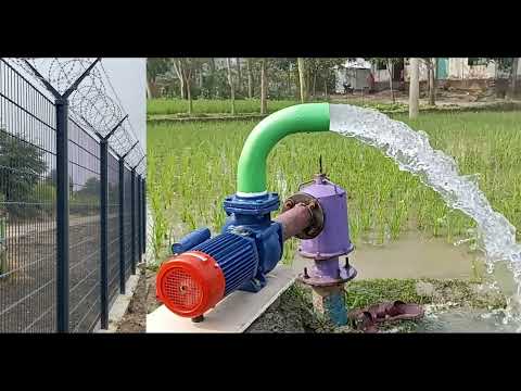 Youtube ad Sree Solor 2
