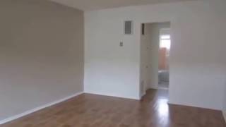 PL6434 - Newly Updated 1 Bed + 1 Bath for Rent (Glendale, CA)