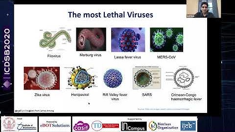 Analysis of Viral Diversity: a Bioinformatics Approach - ICDSB-2020