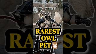 RAREST Owl Pet Guide 🦉 How To Find &amp; Tame It FAST | Crimson Desert