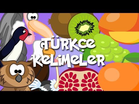 Kids & Fun Türkçe Kelimeler - Bölüm 4