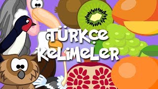 Kids & Fun Türkçe Kelimeler - Bölüm 4