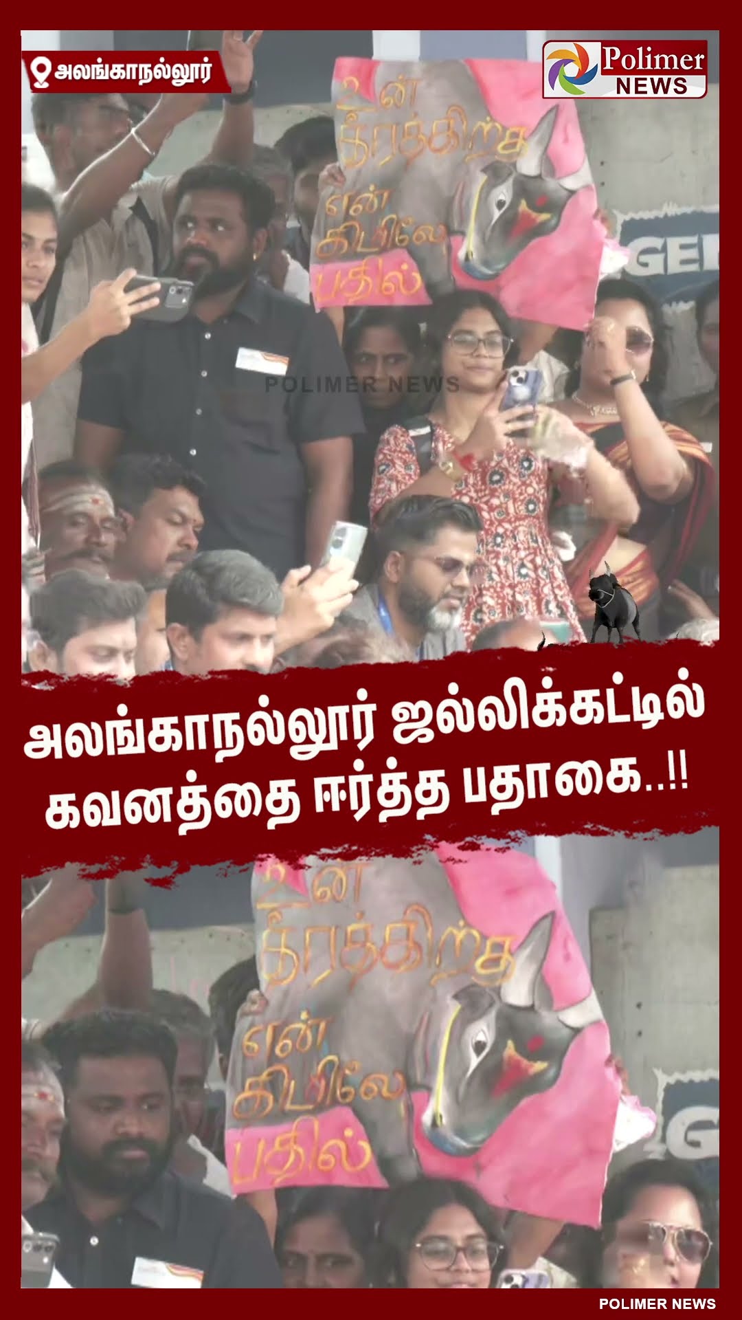 அலங்காநல்லூர் ஜல்லிக்கட்டில் கவனத்தை ஈர்த்த பதாகை..!! #shorts | #alanganallurjallikattu