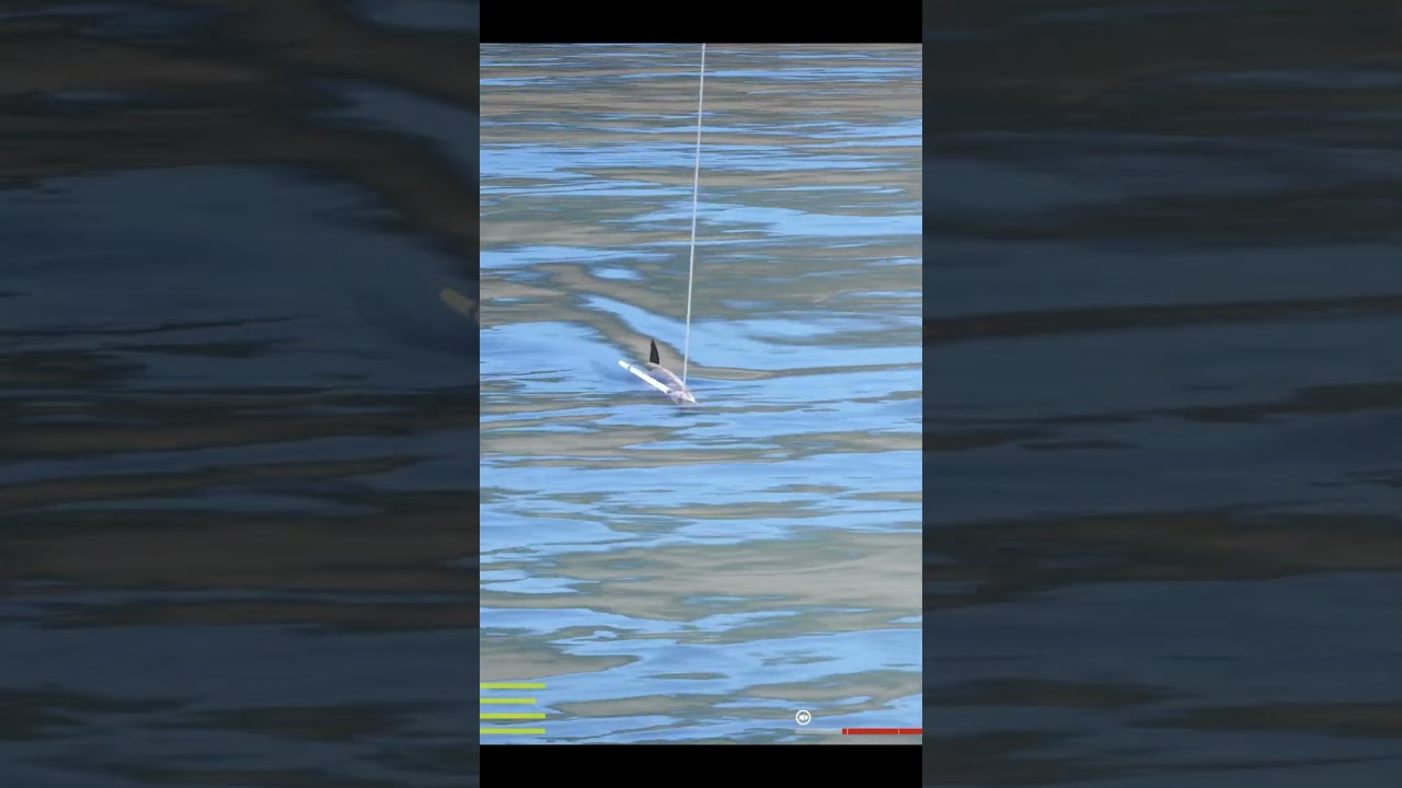 Königslachs im seltenen Laichkleid | Jama | Russian Fishing 4 | 