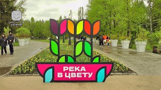 Фестиваль &quot;Река в цвету 2023&quot; в Белгороде днём
