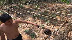 Primitive Technology:Watering system!Primitive life-wilderness