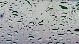 هذه الروح تشتاق إليك| موسيقى| إياد الريماوي| #لحن. #عزف. #مطر. #شتاء. #قطرات_مطر. #شجر..☁️
