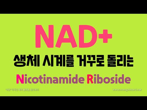 (ENG) Nad+ 왜 불로초인가?｜니코틴아마이드 리보사이드(NR)의 효능, 부작용, 적정복용량
