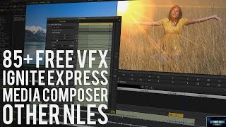 MEDIA COMPOSER | 85+ FREE VFX PLUGINS AND DEMO [WORKS IN OTHER NLEs TOO] screenshot 1
