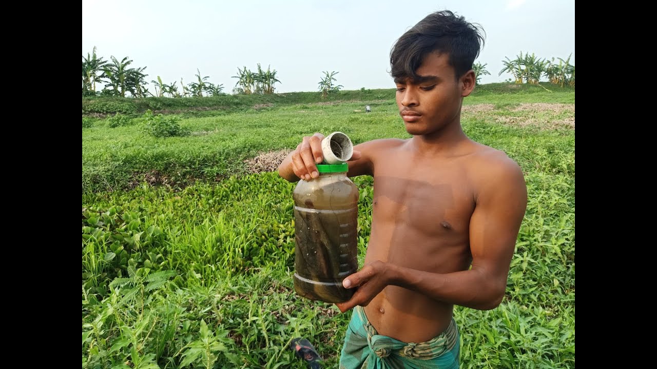 Build Fish Trapping System | Making Deep Hole Bottle Fish Trap | Рыбалка Видео