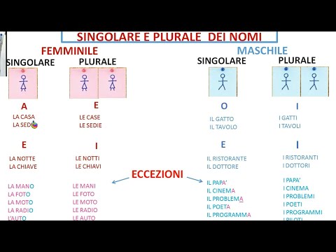 Video: I nuclei sono singolari o plurali?