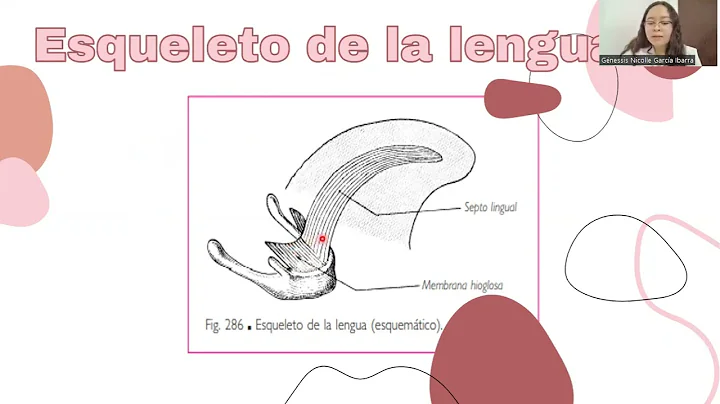 GARCIA IBARRA GENESSIS NICOLLE - LENGUA