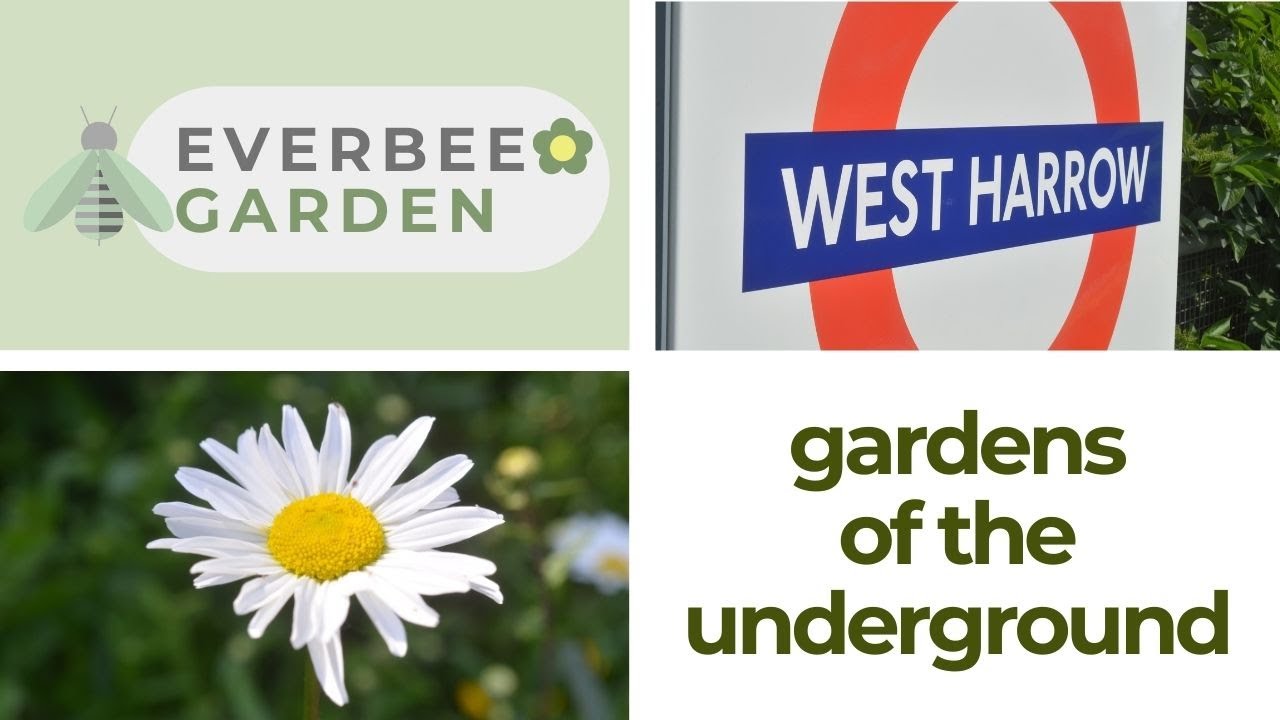 Gardens of the Underground - WEST HARROW | EVERBEE - GARDEN