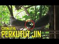 PERKUTUT JIN "CIRIMATHI" MISTERI PENJAGA RUMAH