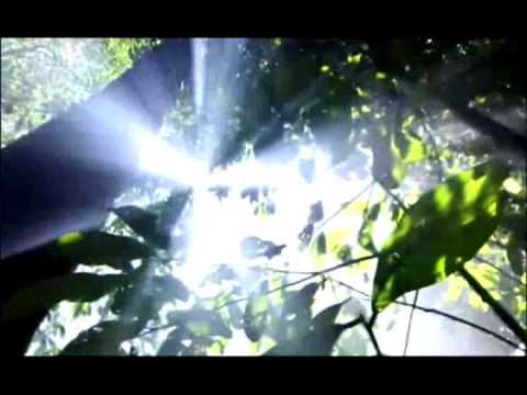 Primer aniversario del Grupo Aéreo del Amazonas de la Fuerza Aérea Colombiana fuerza aerea uruguaya crash