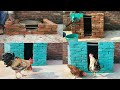 How To Make Hens House Easy | Build Hens & Pigeons House Some Easy Steps.