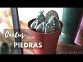 Cactus de piedras (Cactus stones DIY)