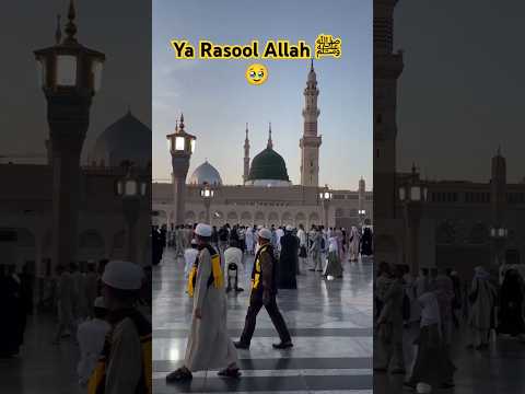 Ya Allah Har Musalman Ko Apne Mehboob Ka Roza Mubarak Dekhna Naseeb Farmaye Ameen Shorts Madina  Ya Allah Har Musalman Ko Apne Mehboob Ka Roza Mubarak Dekhna Naseeb Farmaye Ameen Shorts Madina