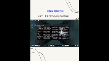 kali linux cmd = ls