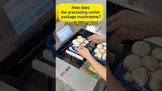 How does the processing center package mushrooms? #machine #packing #mushrooms #equipment #automatic