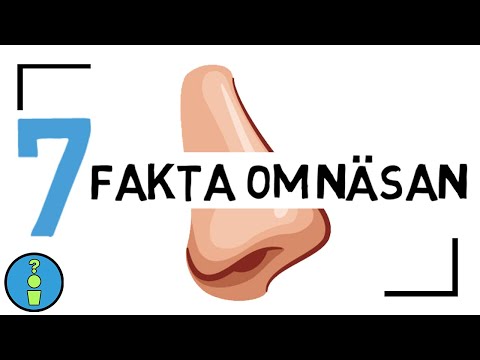 Video: 7 Fakta Om Hyttefilteret Som Du Ikke Visste