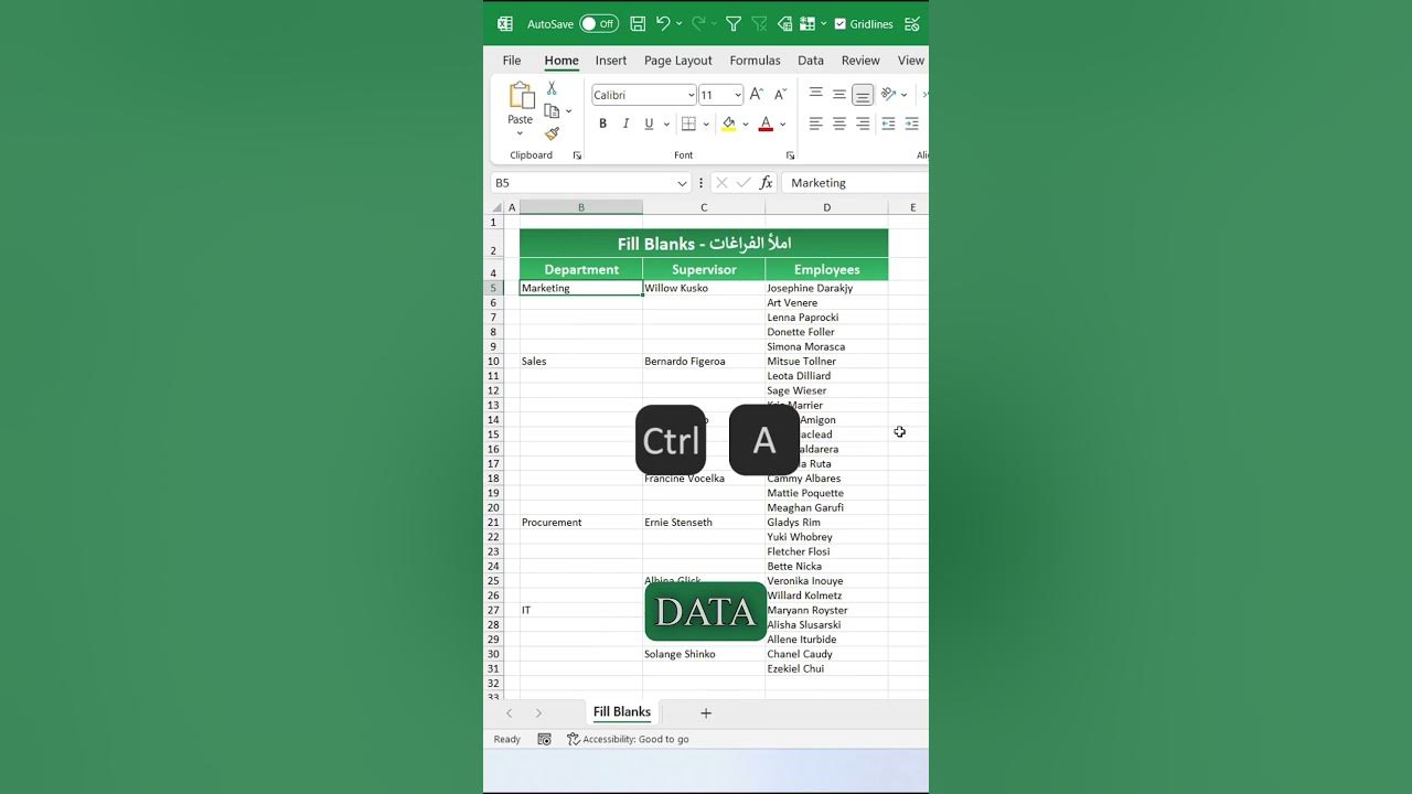 Fill blanks in excel arabic excel exceltips exceltricks 