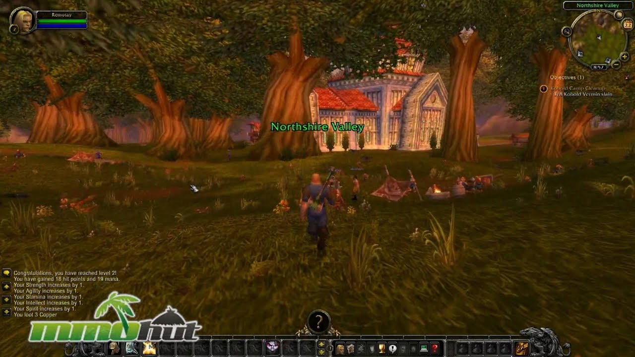 World of Warcraft