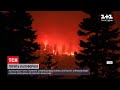 Найбільша за всю історію пожежа: у Каліфорнії горить понад 800 гектарів лісу
