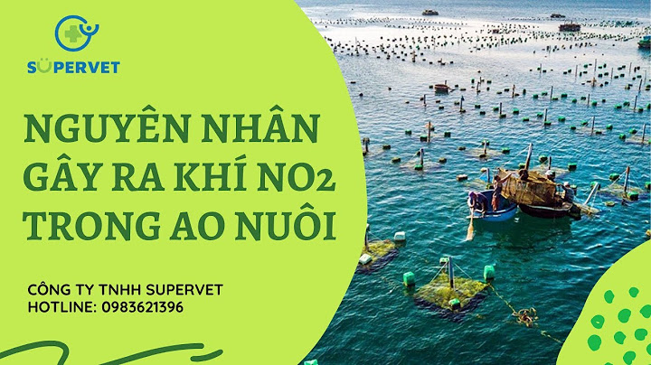 Hiện tuowjg từ khí no hóa thành no2 năm 2024