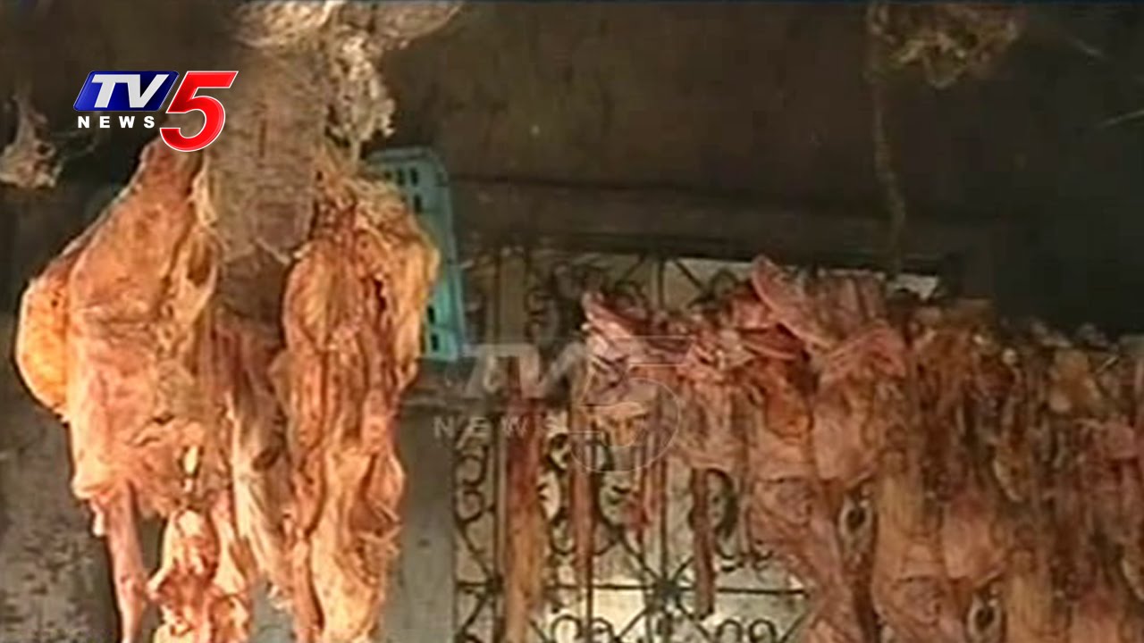Ghee Made from Animal Fat in Mahbubnagar | TV5 News - YouTube